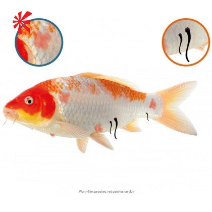 NT Labs Koi Care - Permanganate NT Labs Koi Care - Permanganate