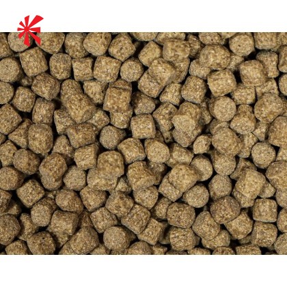 NT Labs - Medikoi Probiotic Growth Food (6mm) NT Labs - Medikoi Probiotic Growth Food (6mm)