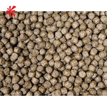 NT Labs - Medikoi Probiotic Growth Junior (3mm) NT Labs - Medikoi Probiotic Growth Junior (3mm)