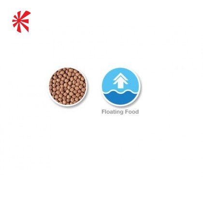 Hikari - Wheatgerm Koi Food Hikari - Wheatgerm Koi Food