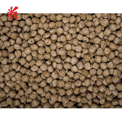 NT Labs - Medikoi Wheatgerm Junior with Garlic - 3mm NT Labs - Medikoi Wheatgerm Junior with Garlic - 3mm