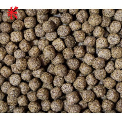 NT Labs - Medikoi Wheatgerm with Garlic - 6mm NT Labs - Medikoi Wheatgerm with Garlic - 6mm