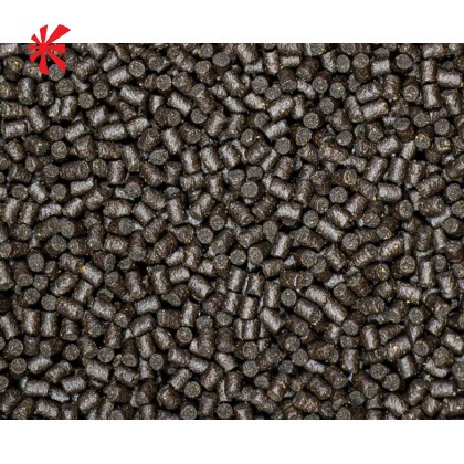 NT Labs - Medikoi Junior Sturgeon Food (2mm) NT Labs - Medikoi Junior Sturgeon Food (2mm)