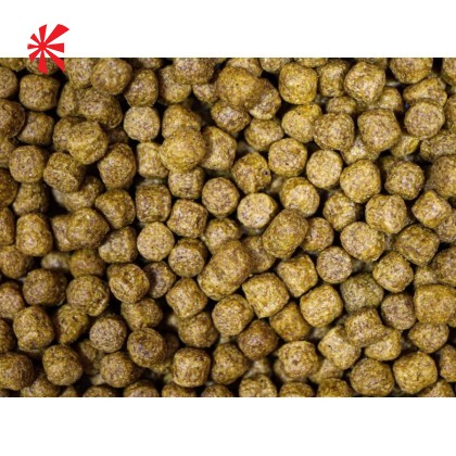 NT Labs - Medikoi Health Koi Food (6mm pellet) NT Labs - Medikoi Health Koi Food (6mm pellet)