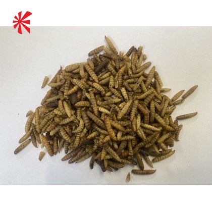 Natural Fish Food Treats Natural Fish Food Treats