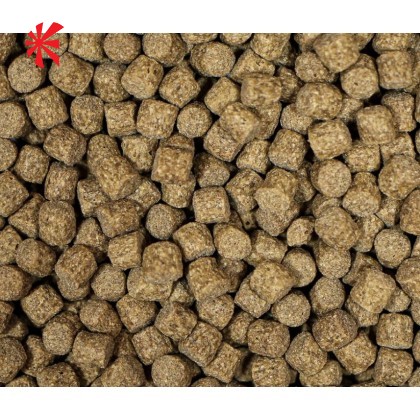 NT Labs - Medikoi Growth Koi Food (6mm pellet) NT Labs - Medikoi Growth Koi Food (6mm pellet)