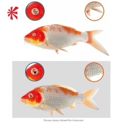 NT Labs Koi Care - Acriflavin NT Labs Koi Care - Acriflavin