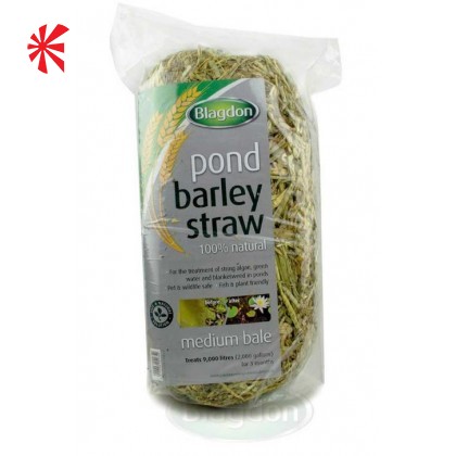 Blagdon Barley Straw Pond Bale Blagdon Barley Straw Pond Bale