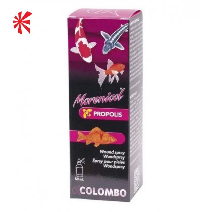 Koi Ulcer & Wound Treatments Koi Ulcer & Wound Treatments