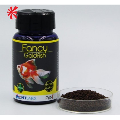 NT Labs Pro-F Fancy Goldfish Pellets NT Labs Pro-F Fancy Goldfish Pellets