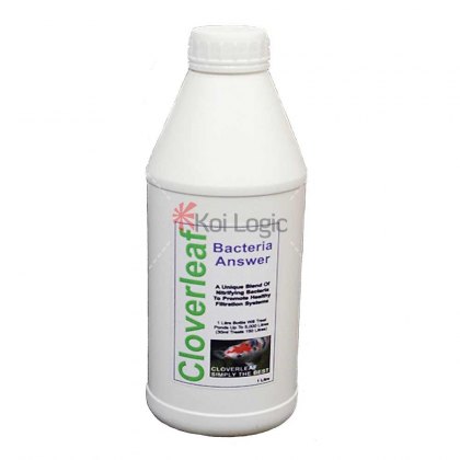 Cloverleaf Bacteria Answer Cloverleaf Bacteria Answer